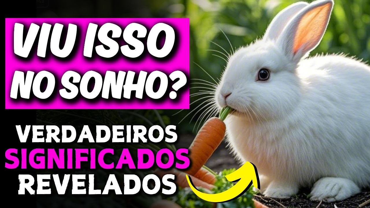 🚨 SONHO COM COELHO BRANCO: O Que Significa Sonhar Com Coelho Branco ...