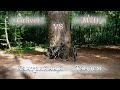 Кантрийный Тандем. Голосеевский лес. Cycling Time. Gravel vs MTB. ВЕЛО БЛОГ