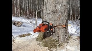 Winter and Logging Full Force