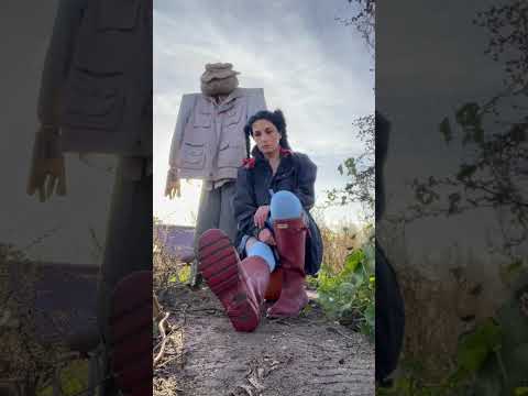 Dorothy in my ruby hunter wellies pumpkin picking part 1