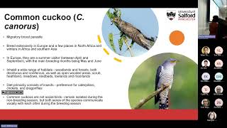 Vocal Activity of the Common Cuckoo in the Chornobyl Exclusion Zone - Helen Whitehead