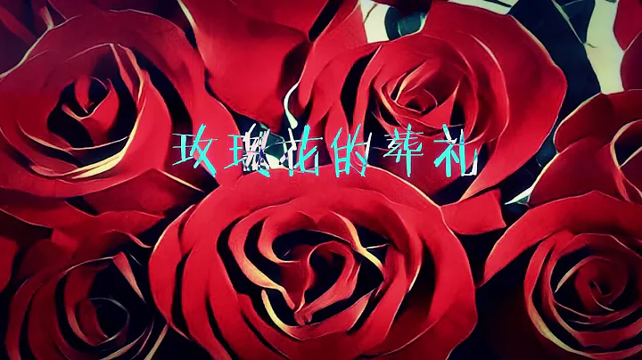 【Moonlight】玫瑰花的葬礼-祭奠我们死去的爱情 - 天天要闻