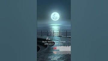 القرآن الكريم حالات واتس قرانيه ماهر المعيقلي ❤📌