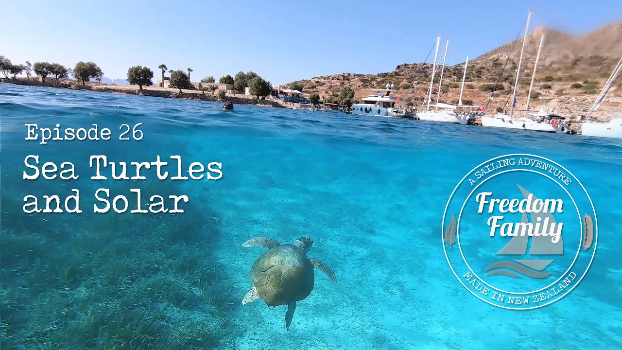 26. I Sea Turtles & Solar I Sailing Freedom Family