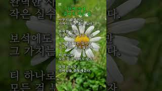 완벽속에 숨겨진 작은 흠 #데이지(순수한 사랑, 희망) #명언 #좋은글 #멋진글귀 #마음의소리로쓰는글