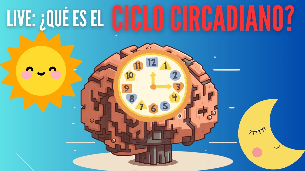 ¿Qué es el ciclo circadiano y por qué es peligroso comer en las noches?