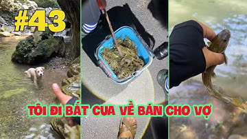 Tôi Đi Bắt Cua Về Bán Cho Vợ | Thử Thách Câu Cá Không Đồng Ngày 43 - Anh Triệu