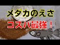 メダカの餌おすすめはこれだ！（稚魚から成魚まで食いつきの良いエサ）餌選びに困っている方必見