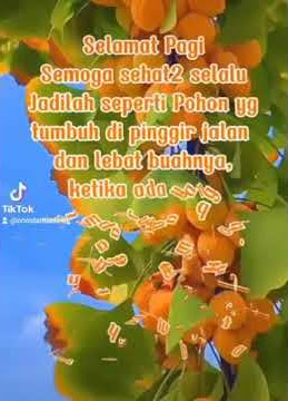 Status wa terbaru rohani kristen selamat pagi