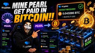 Celebrity Mine Pearl, Get Paid in Bitcoin! Kryptex Pool Setup Guide Profile