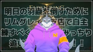 【ELDEN RING】 明日の羽蟲打倒の為に田舎のジムで自主練 【頬白凪】