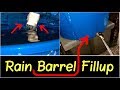 ✅Rain Barrel Collection System in Action 32 Gallons Full in Less than 2hrs Review