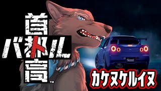 【首都高バトル】パワーアップした相棒(マシン)で頂点目指せ！🏎🐺💨【津軽弁狛犬Vtuber】