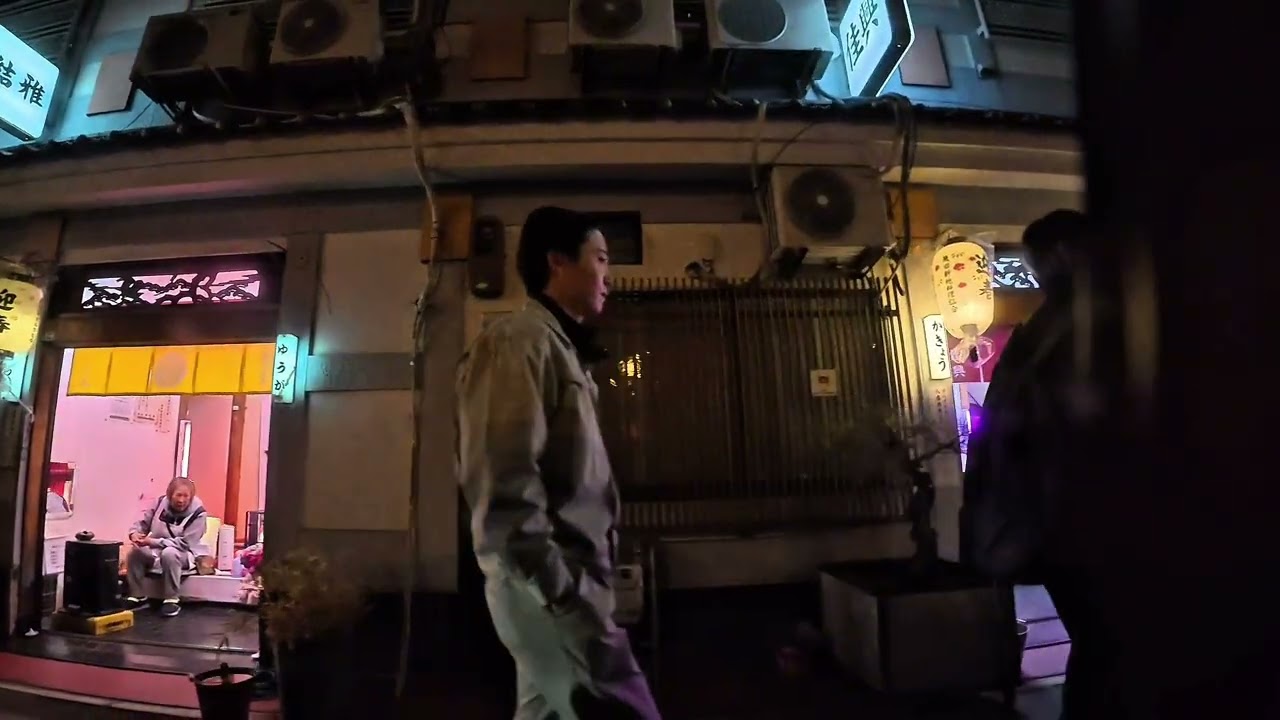 The largest red-light district in Osaka Tobita Shinchi (飛田新地) 4K