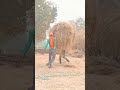 इस दिल के बातो मे जो आते है #youtube #sort #bollybood #hindisong