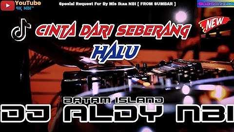 CINTA DARI SEBERANG X HALU NEW FUNKOT HARDMIX 2025 | DJ ALDY NBI™ BATAM ISLAND (Req Mis Ikaa)