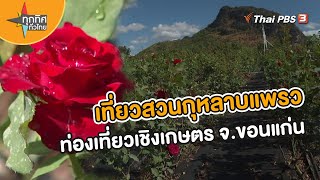 เที่ยวสวนกุหลาบแพรวท่องเที่ยวเชิงเกษตร จ.ขอนแก่น | อาชีพทั่วไทย