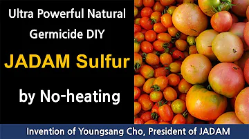 Kde jsou cizinci zaměstnáváni?