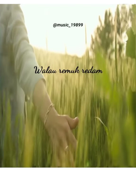 Status WA animasi GALAU - Geisha Kembali Pulang (