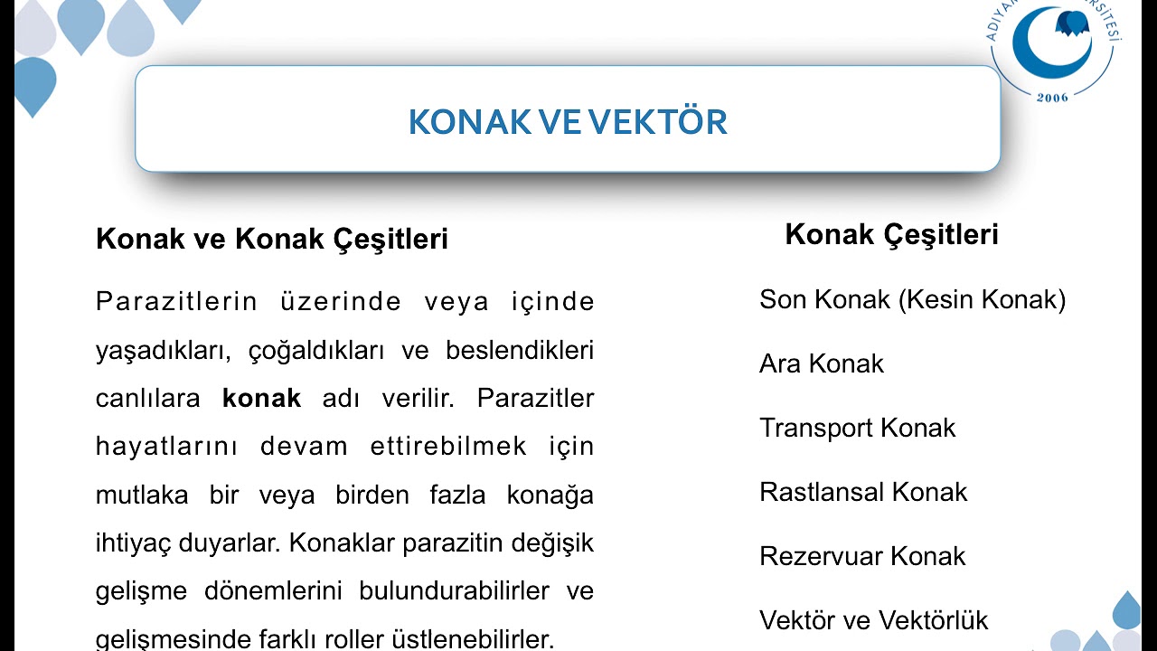 Konak Parazit İlişkileri