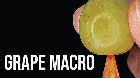 Gorgeous Grape Macro Video Of Macro Zoom Creative