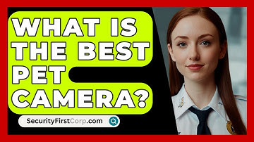 What Is The Best Pet Camera? - SecurityFirstCorp.com