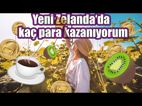 Yeni Zelanda'da Kaç Para Kazanıyorum? | İş bulmak kolay mı?