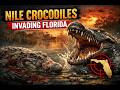 Florida’s Crocodiles Started Vanishing — Then Investigators Made a Disturbing Discovery