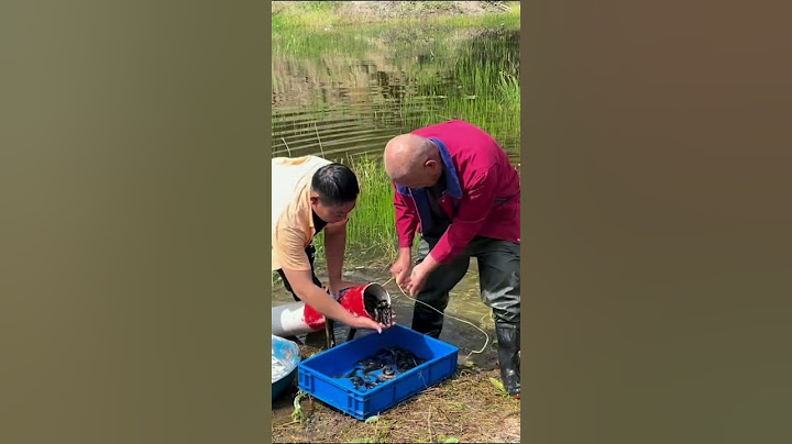 【搞笑漁民真實生活】日出日落，勤勤恳恳！#fishing  #shorts