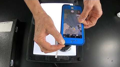 Pyroxenes in thin section