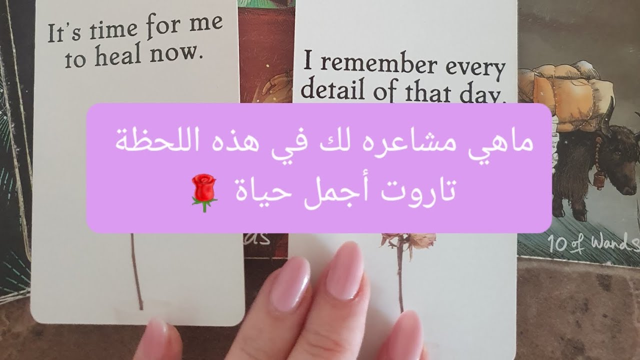 ماهي مشاعره وطاقته لك في هذه اللحظة، القراءات المجانية بآخر الفيديو