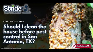 Should I clean the house before pest control in San Antonio, TX?