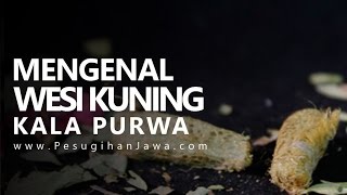 Download Lagu Wesi Kuning Kala Purwa - Koleksi Benda Bertuah Dewi Sundari MP3