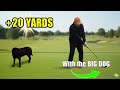 Have You Tried this Trick for Longer Drives?
