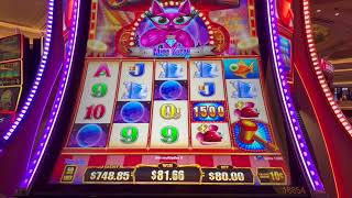 Jackpot Carnival Miss Kitty Edition!!