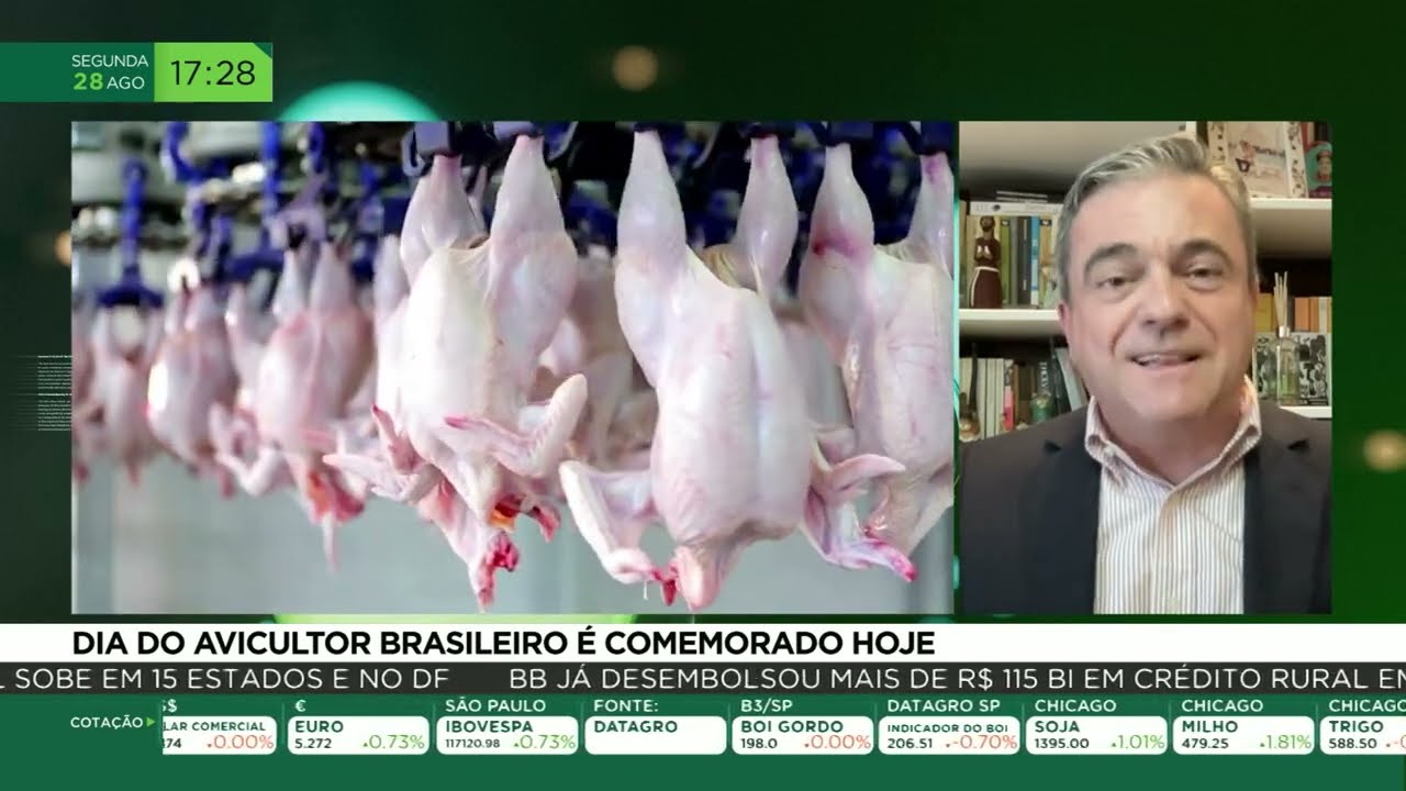 Dia do avicultor brasileiro é comemorado hoje