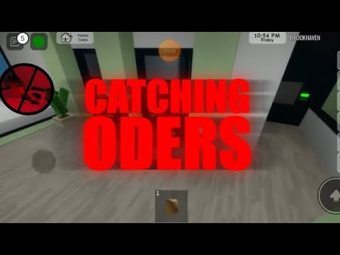 Catching roblox oders (Brookhaven)