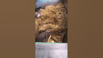 3 cubic TMR complete ration preparation machine; TMR cattle and sheep feed mixing machine