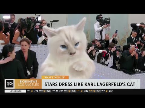 The 2023 Met Gala Celebrating "Karl Lagerfeld: A Line Of Beauty"