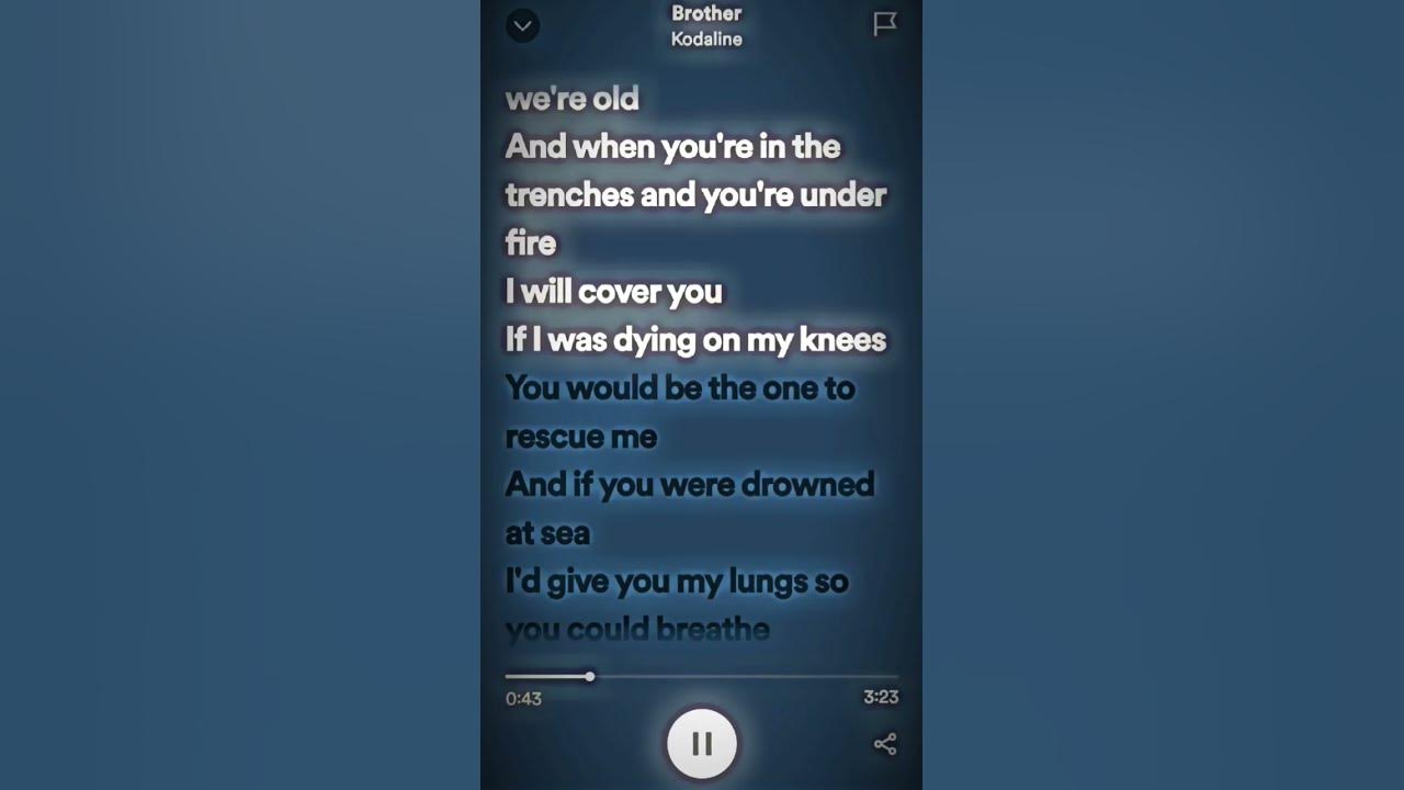 Brother - Kodaline #lyrics #spotify #kodaline #music #fypシ #shorts #brother #songlyrics #subscribe