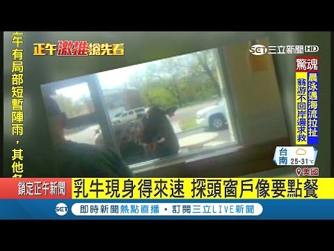 忘了自己吃素？乳牛逃家現身得來速探頭探腦 "要來一份大麥克"？｜記者 程思瑋｜【萌寵54來當家】20180901｜三立新聞台