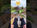 wonderful and dangerous ride #viral #funny #comedy #shortsfeed #shorts #shortvideo #short #ytshorts