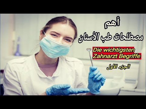 أهم مصطلحات طب الأسنان  بالألمانية الجزء الأول |wichtigste Zahnarzt Begriffe