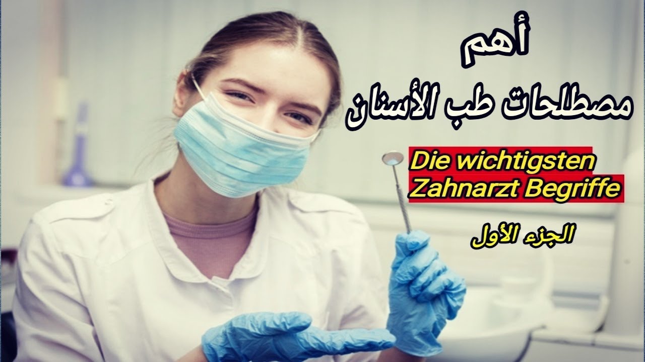 أهم مصطلحات طب الأسنان  بالألمانية الجزء الأول |wichtigste Zahnarzt Begriffe