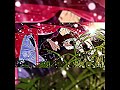 レンゲの花言葉#shorts#short#カレコレ#カレコレ屋#混血のカレコレ#plottアニメ#YouTubeアニメ#推し#感動#ハウンド#レンゲ#自作#自作動画#自作編集#編集#消えない温度
