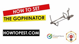 How to Set the Gophinator Trap | Easy Gopher & Mole Control Tutorial