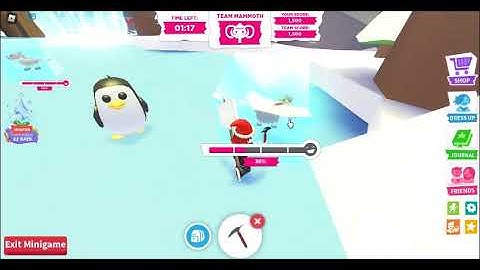 Day 14 Advent Calendar adopt me