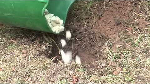 How to Install a Fence Post into Soil