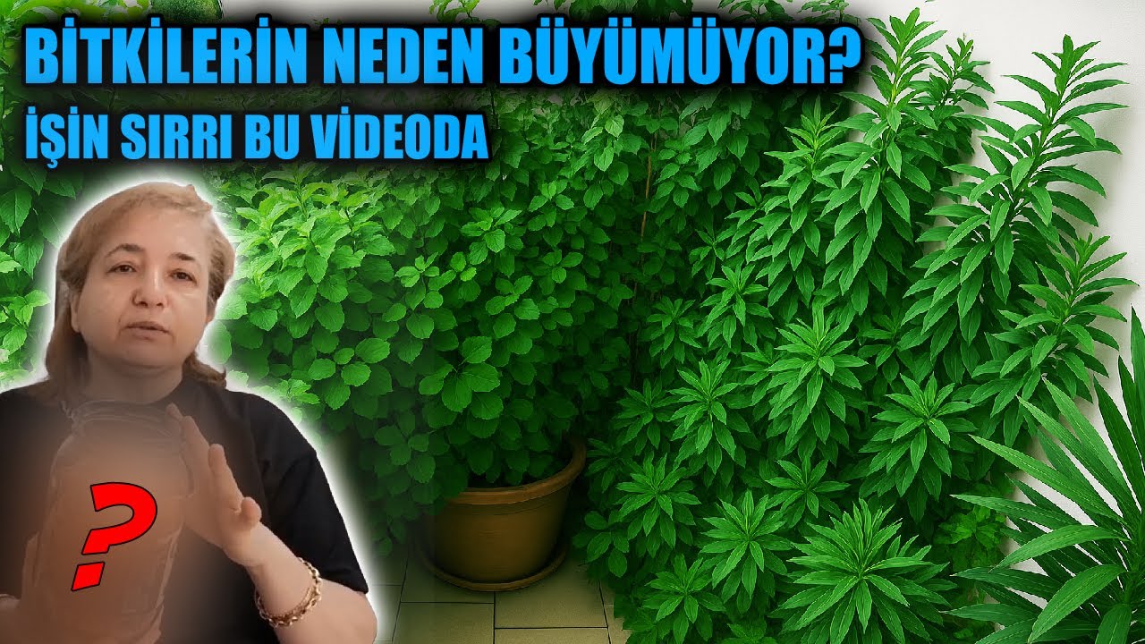 ÇİÇEKLERİMİN VE BİTKİLERİMİN BÜYÜME SIRRI?? - (DOĞAL GÜBRE YAPIYORUZ)