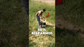 Questo METODO ti salva l'orto in ESTATE ☀️